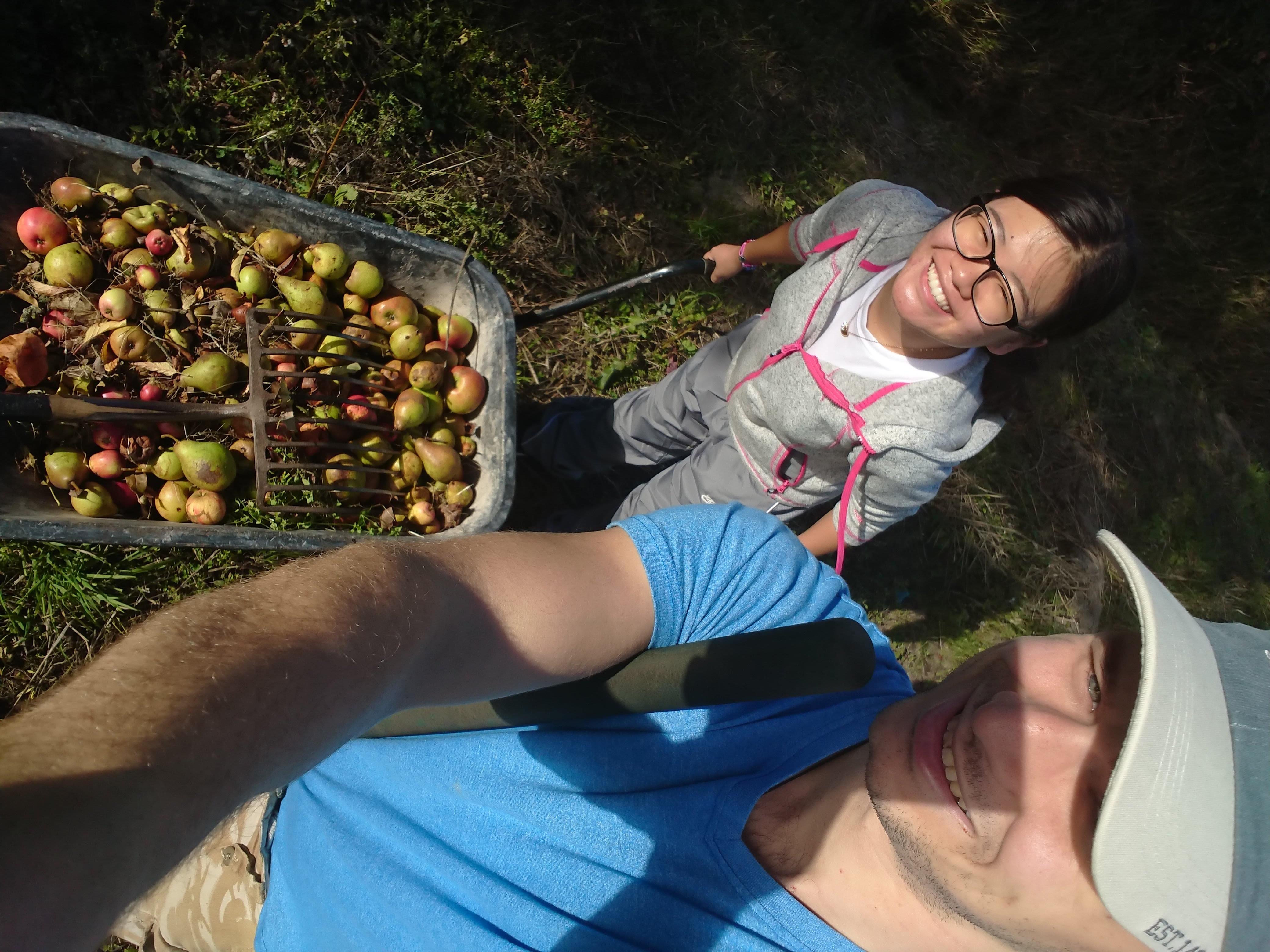 Martin and Jing picking apples in a field